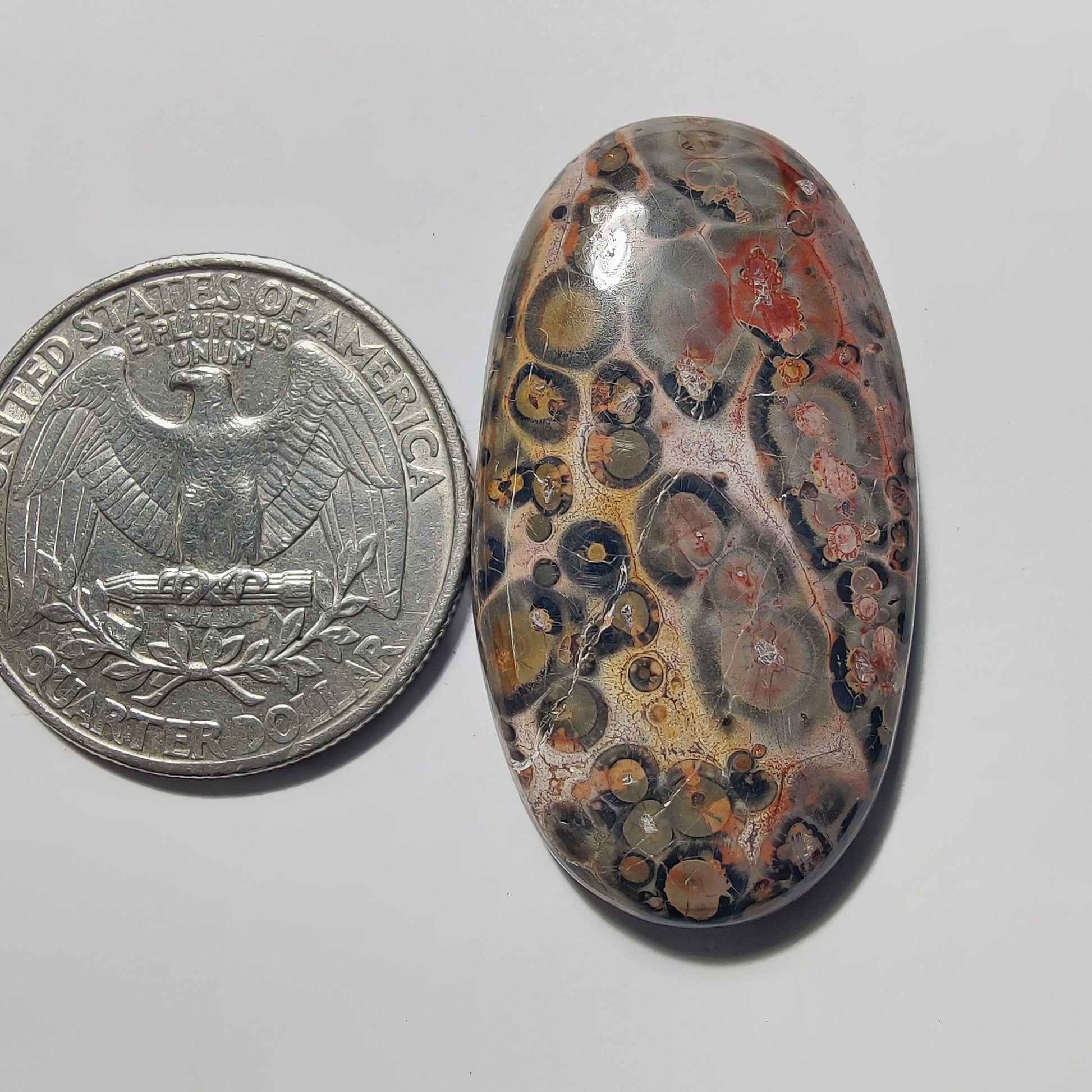 Leopard Skin Jasper gemstone cabochon - natural crystal healing stone for jewelry making by Gemivra