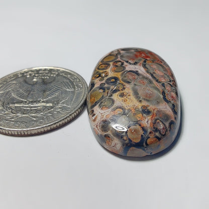 Leopard Skin Jasper gemstone cabochon - natural crystal healing stone for jewelry making by Gemivra