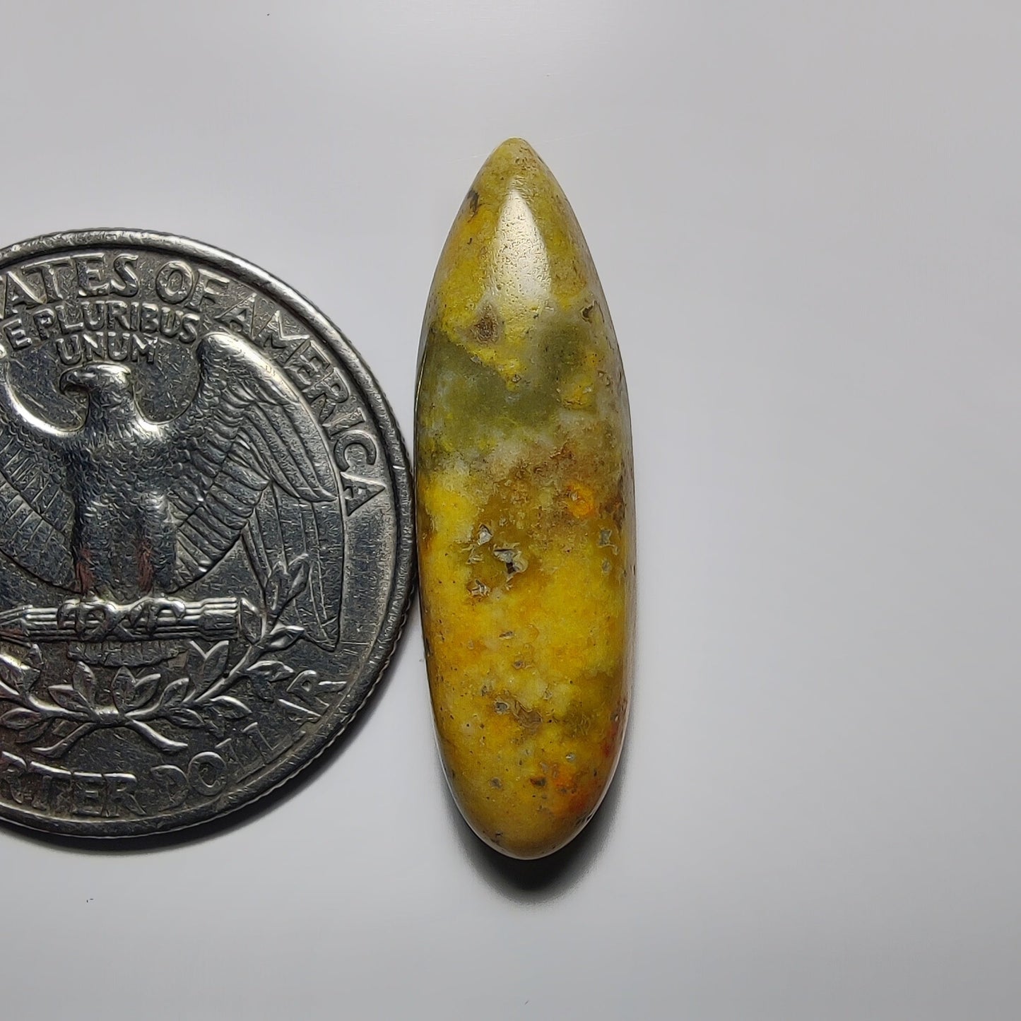Bumblebee Jasper