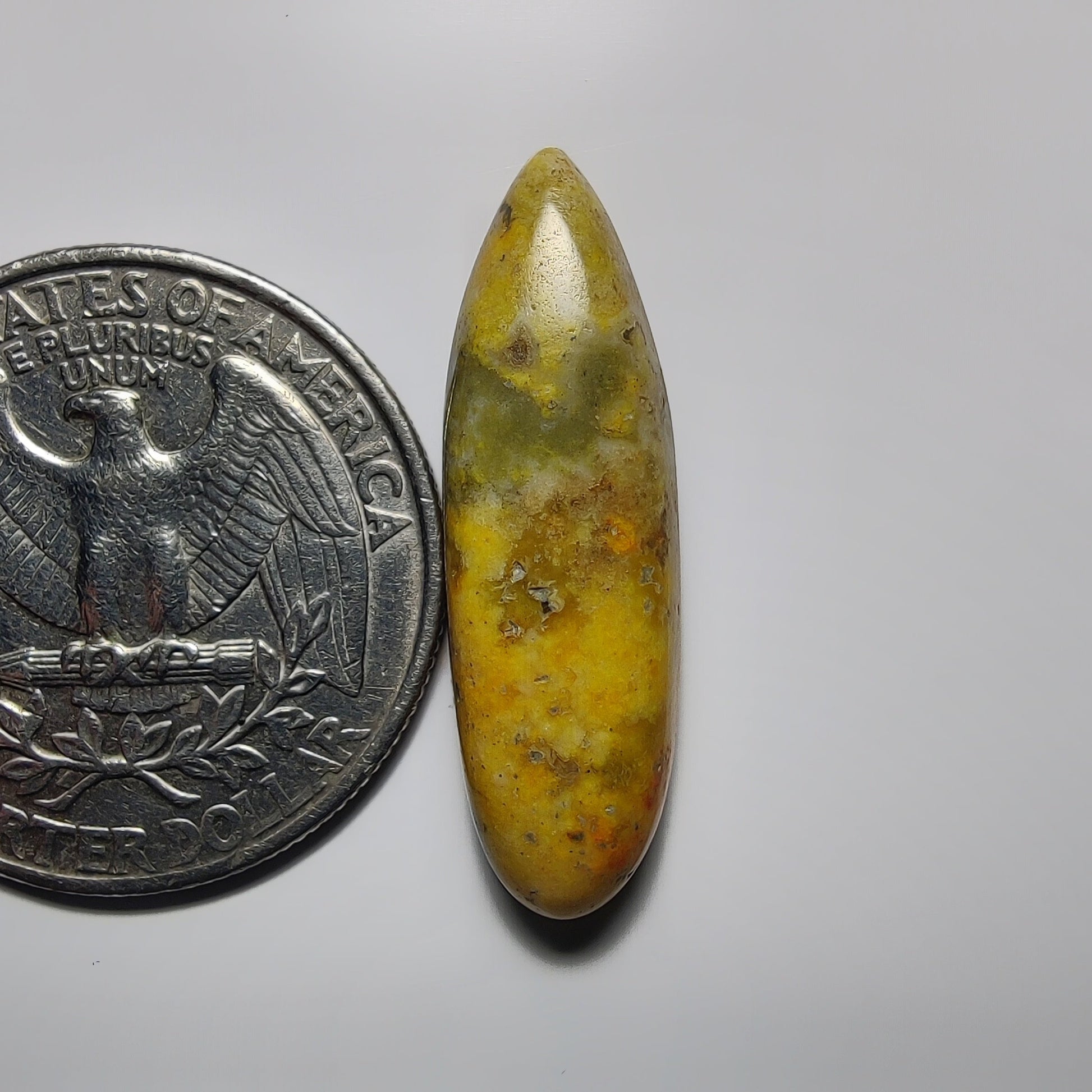 Bumblebee Jasper