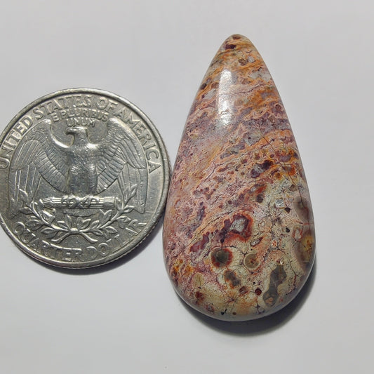 Leopard Skin Jasper gemstone cabochon - natural crystal healing stone for jewelry making by Gemivra