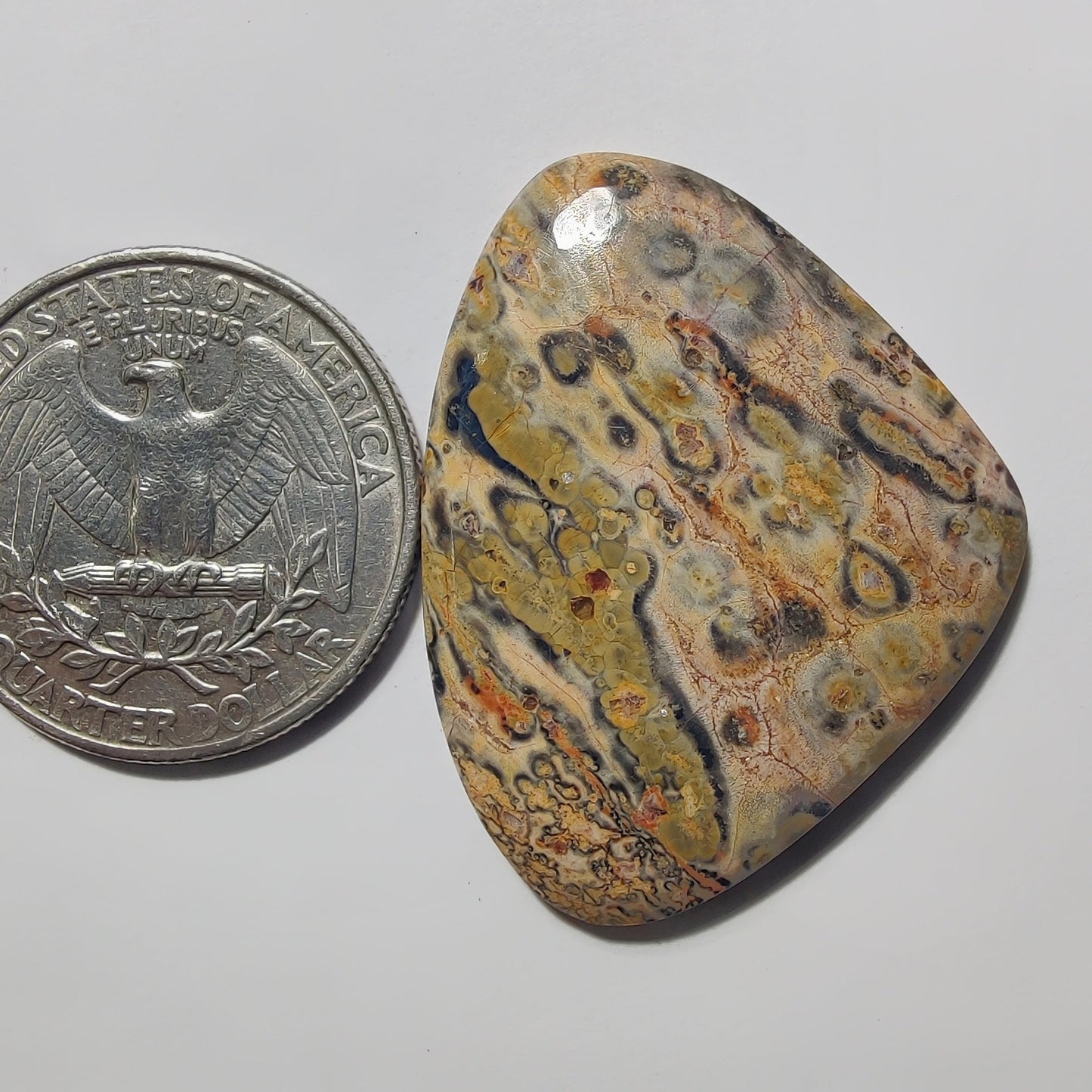 Leopard Skin Jasper gemstone cabochon - natural crystal healing stone for jewelry making by Gemivra