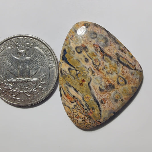 Leopard Skin Jasper gemstone cabochon - natural crystal healing stone for jewelry making by Gemivra