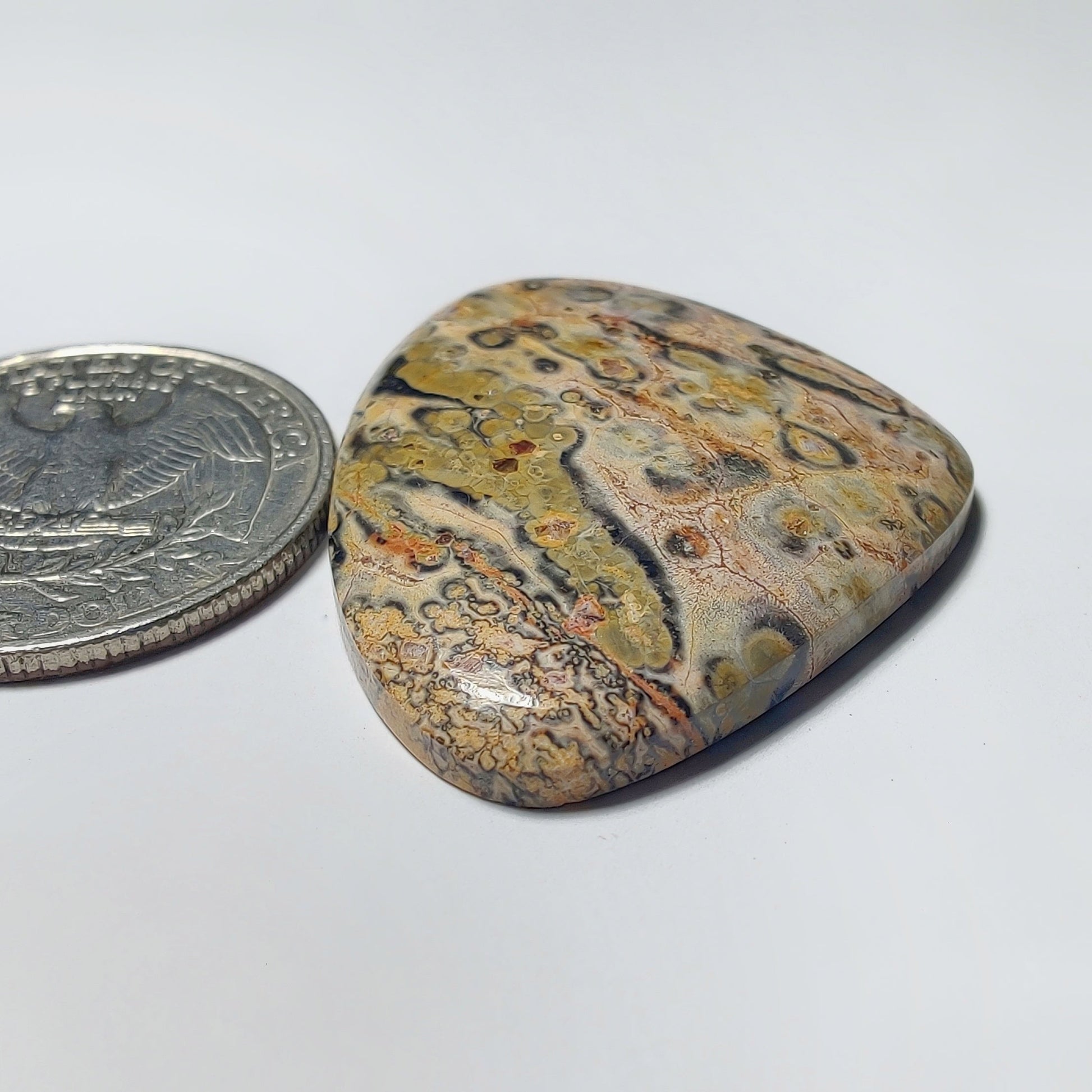 Leopard Skin Jasper gemstone cabochon - natural crystal healing stone for jewelry making by Gemivra