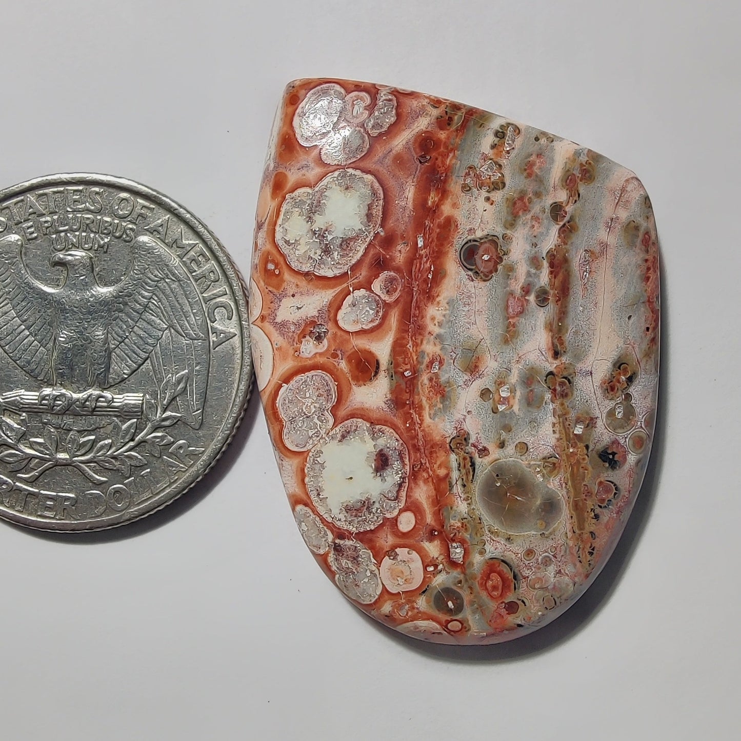 Leopard Skin Jasper gemstone cabochon - natural crystal healing stone for jewelry making by Gemivra