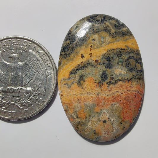 Leopard Skin Jasper gemstone cabochon - natural crystal healing stone for jewelry making by Gemivra