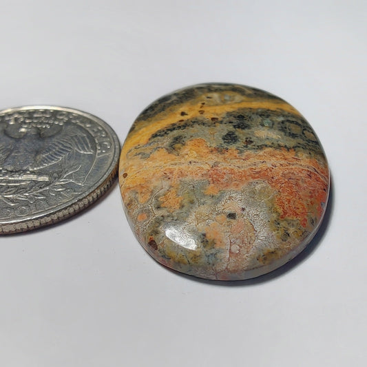 Leopard Skin Jasper gemstone cabochon - natural crystal healing stone for jewelry making by Gemivra