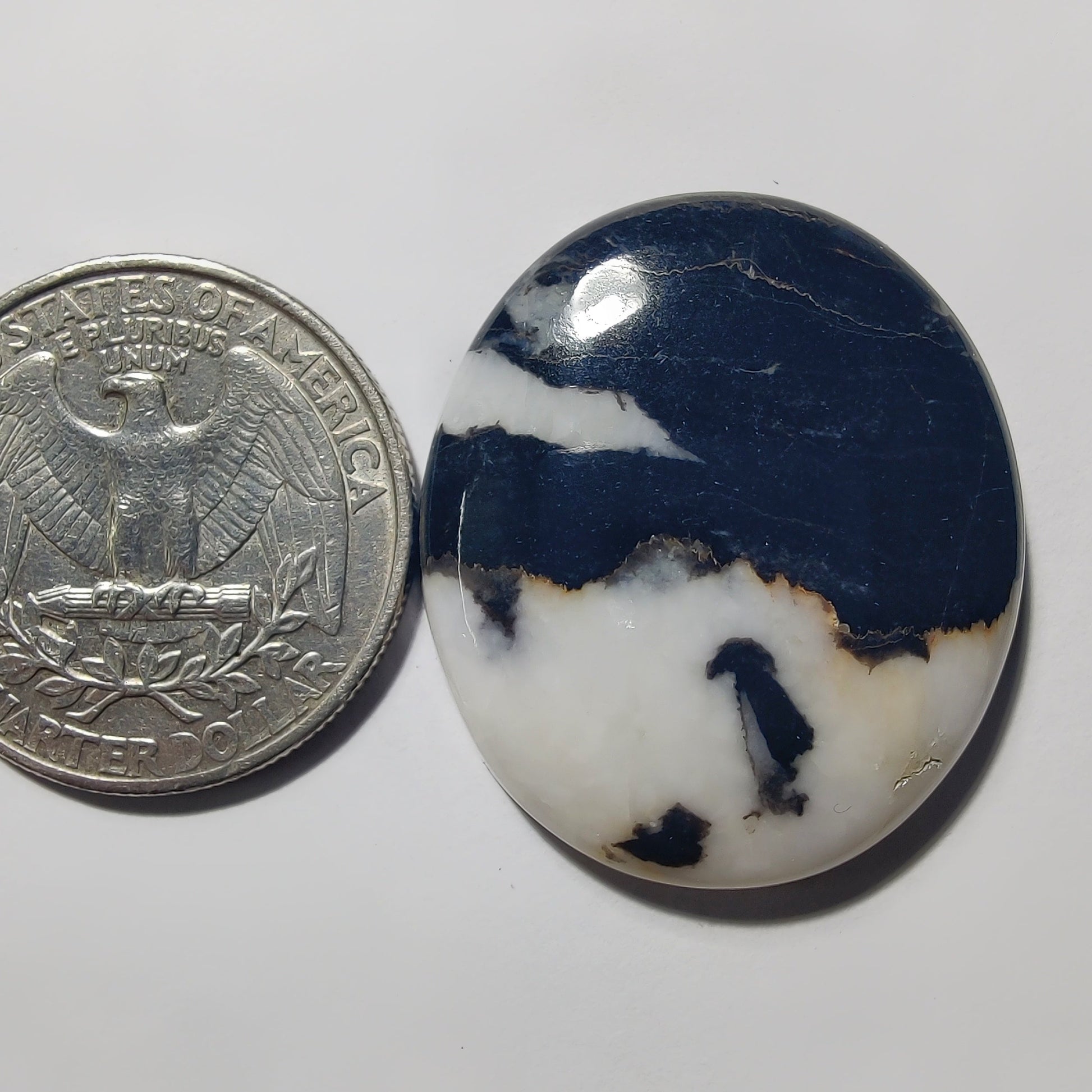 White Buffalo Turquoise gemstone cabochon - natural crystal healing stone for jewelry making by Gemivra