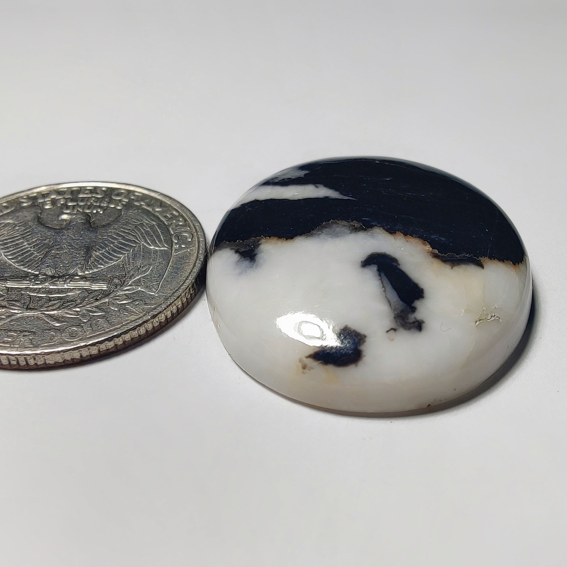 White Buffalo Turquoise gemstone cabochon - natural crystal healing stone for jewelry making by Gemivra