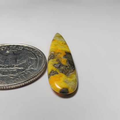 Bumblebee Jasper