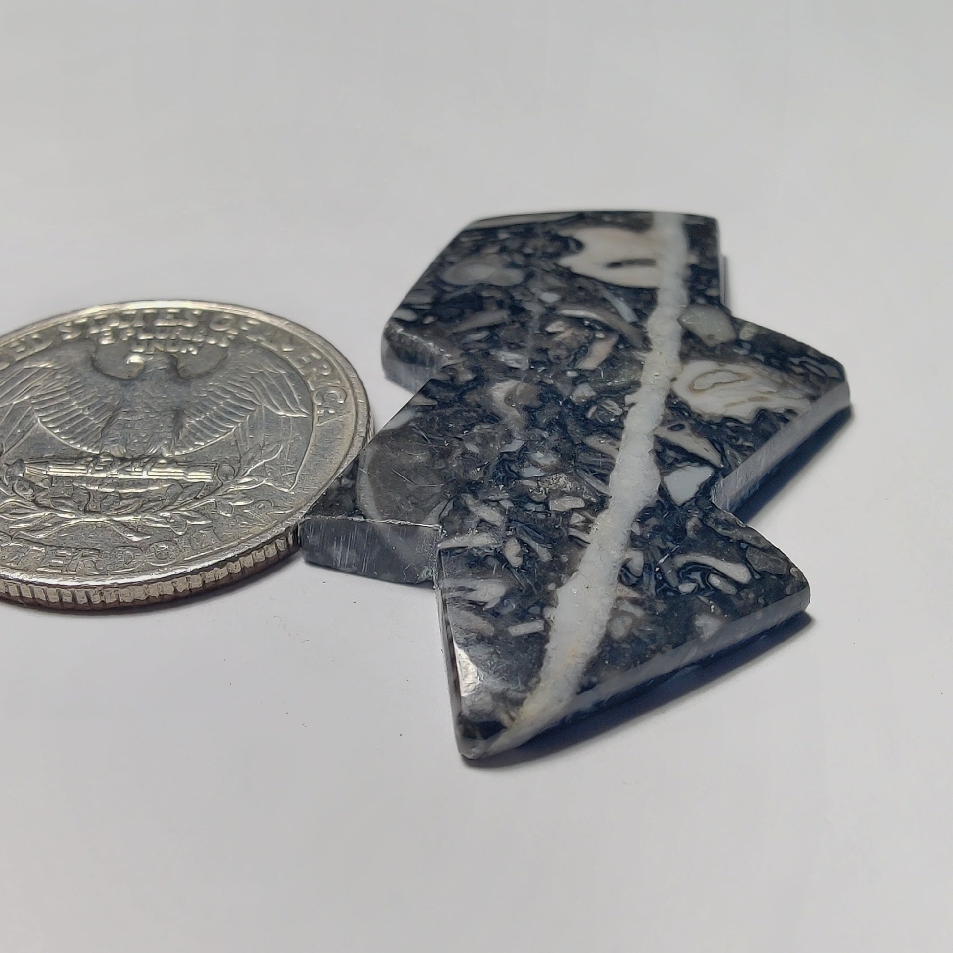 Orthoceras Jasper gemstone cabochon - natural crystal healing stone for jewelry making by Gemivra