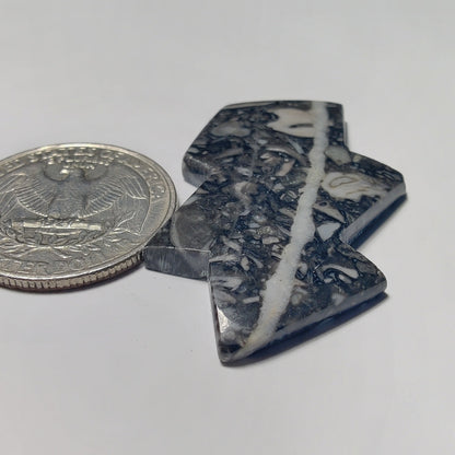 Orthoceras Jasper gemstone cabochon - natural crystal healing stone for jewelry making by Gemivra