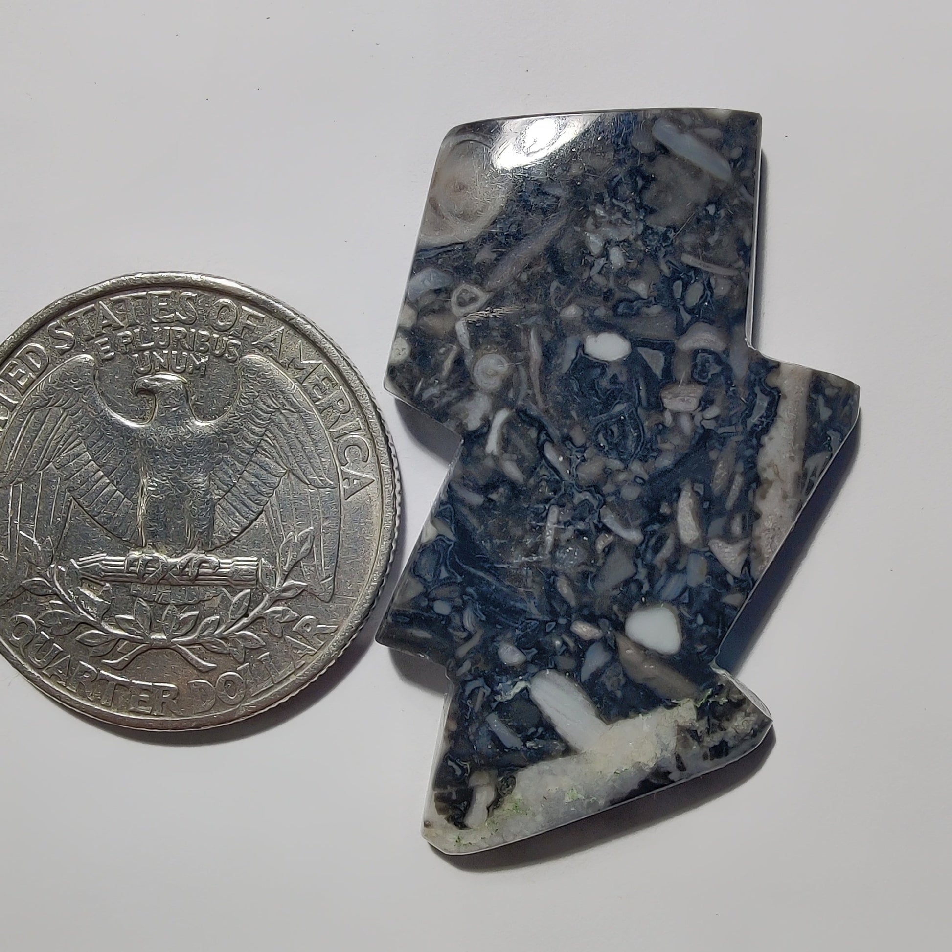 Orthoceras Jasper gemstone cabochon - natural crystal healing stone for jewelry making by Gemivra