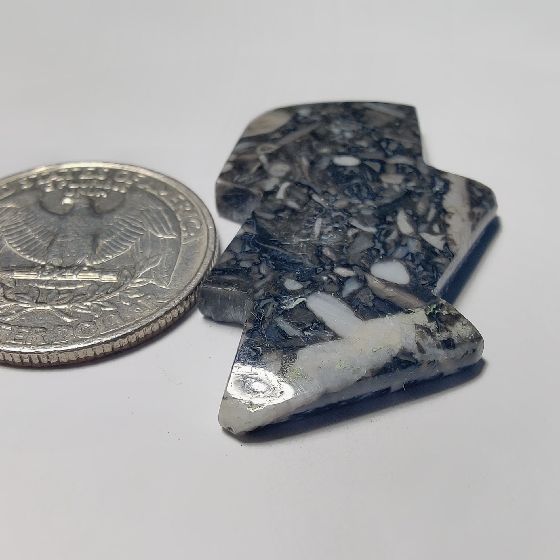 Orthoceras Jasper gemstone cabochon - natural crystal healing stone for jewelry making by Gemivra