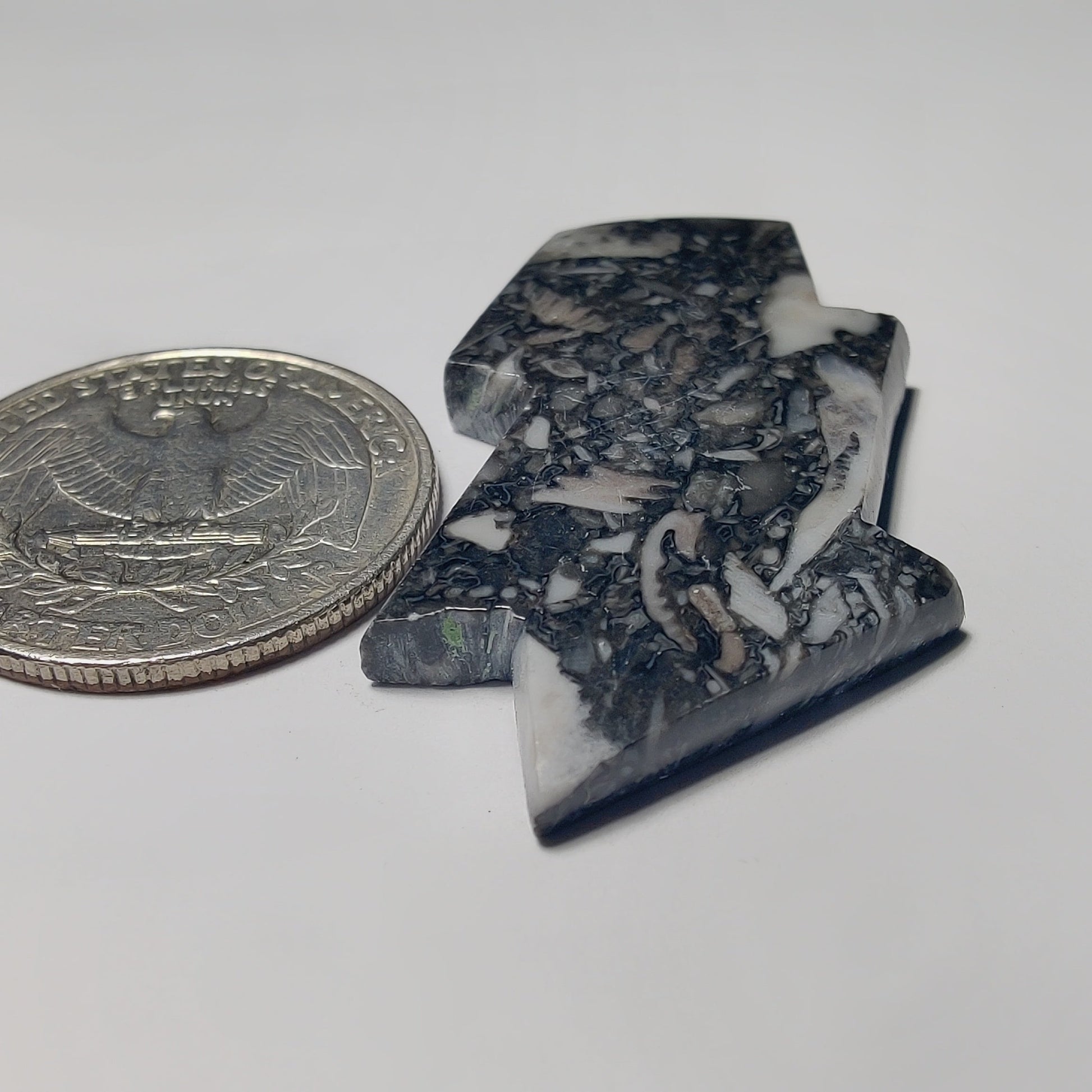 Orthoceras Jasper gemstone cabochon - natural crystal healing stone for jewelry making by Gemivra