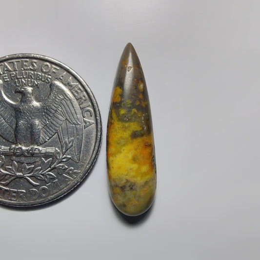 Bumblebee Jasper