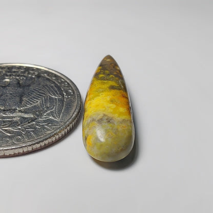 Bumblebee Jasper