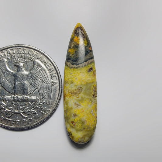 Bumblebee Jasper