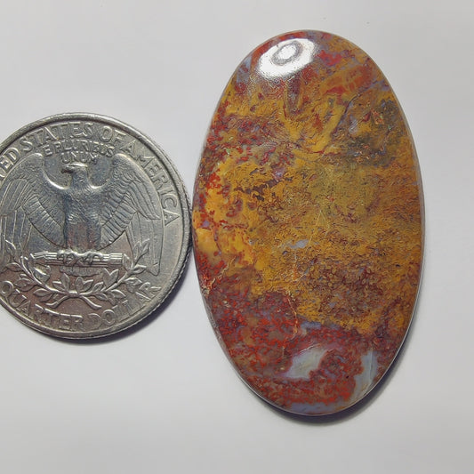 Palm Root Agate gemstone cabochon - natural crystal healing stone for jewelry making by Gemivra