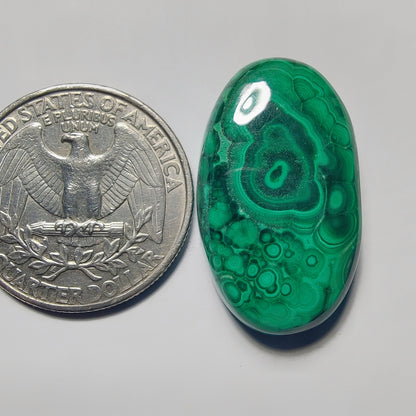 Malachite gemstone cabochon - natural crystal healing stone for jewelry making by Gemivra