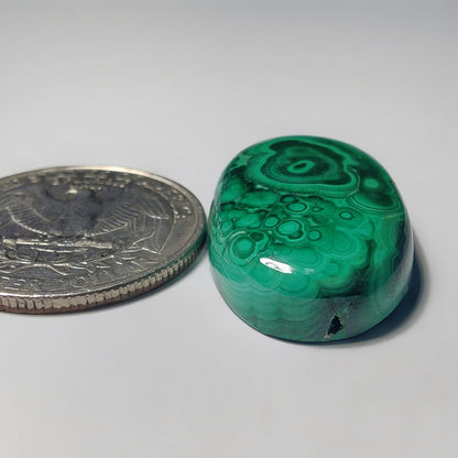 Malachite gemstone cabochon - natural crystal healing stone for jewelry making by Gemivra