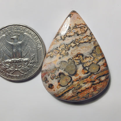 Leopard Skin Jasper gemstone cabochon - natural crystal healing stone for jewelry making by Gemivra