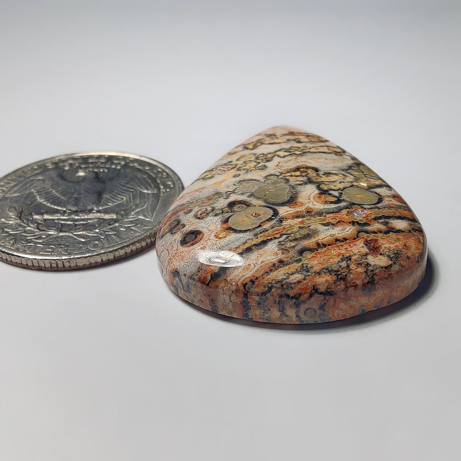 Leopard Skin Jasper gemstone cabochon - natural crystal healing stone for jewelry making by Gemivra