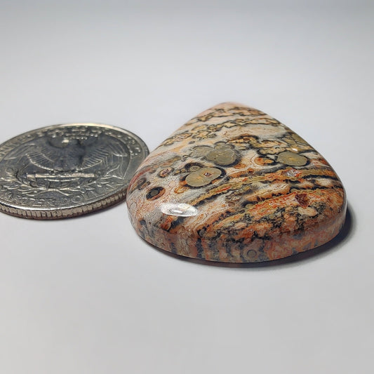 Leopard Skin Jasper gemstone cabochon - natural crystal healing stone for jewelry making by Gemivra