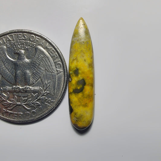 Bumblebee Jasper