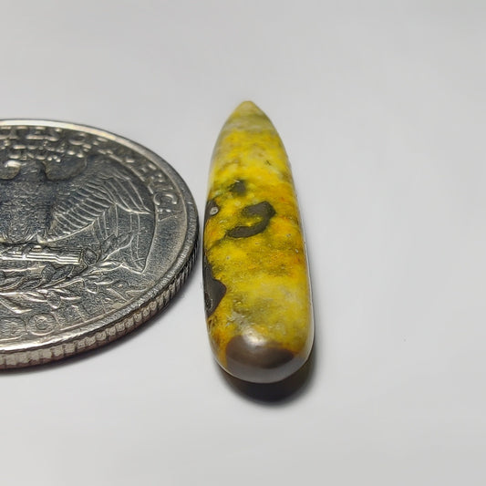 Bumblebee Jasper