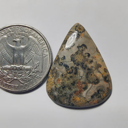 Leopard Skin Jasper gemstone cabochon - natural crystal healing stone for jewelry making by Gemivra