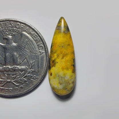 Bumblebee Jasper
