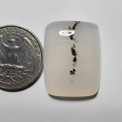 Dendrite Agate gemstone cabochon - natural crystal healing stone for jewelry making by Gemivra