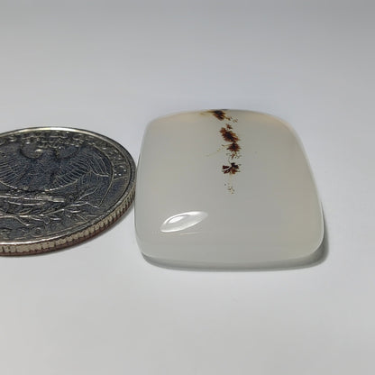 Dendrite Agate gemstone cabochon - natural crystal healing stone for jewelry making by Gemivra