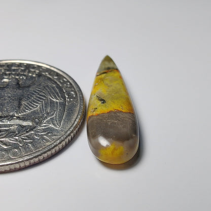 Bumblebee Jasper