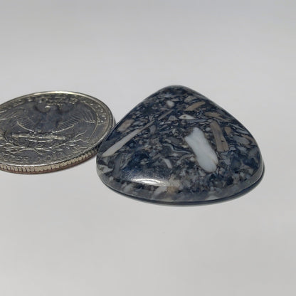 Orthoceras Jasper gemstone cabochon - natural crystal healing stone for jewelry making by Gemivra