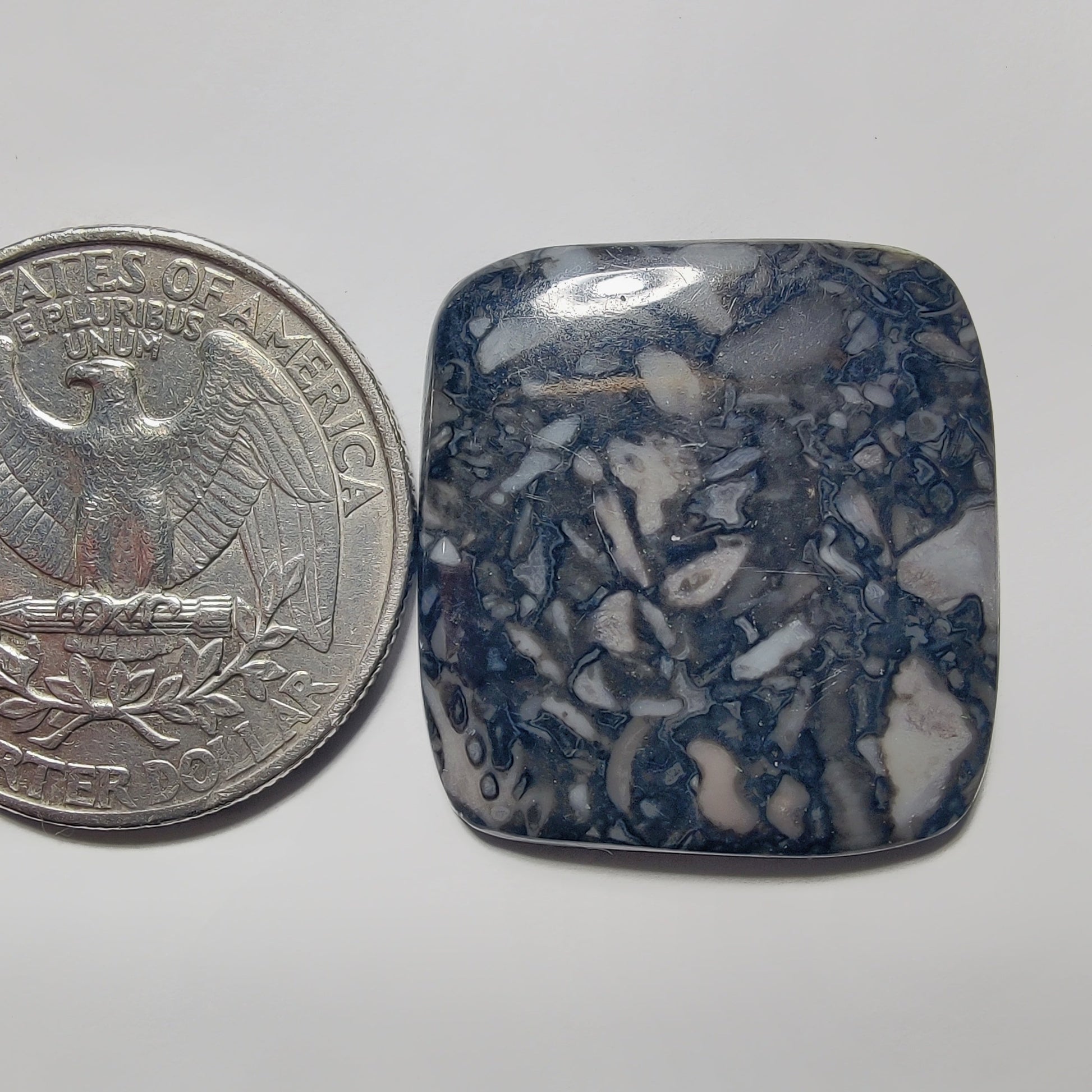 Orthoceras Jasper gemstone cabochon - natural crystal healing stone for jewelry making by Gemivra