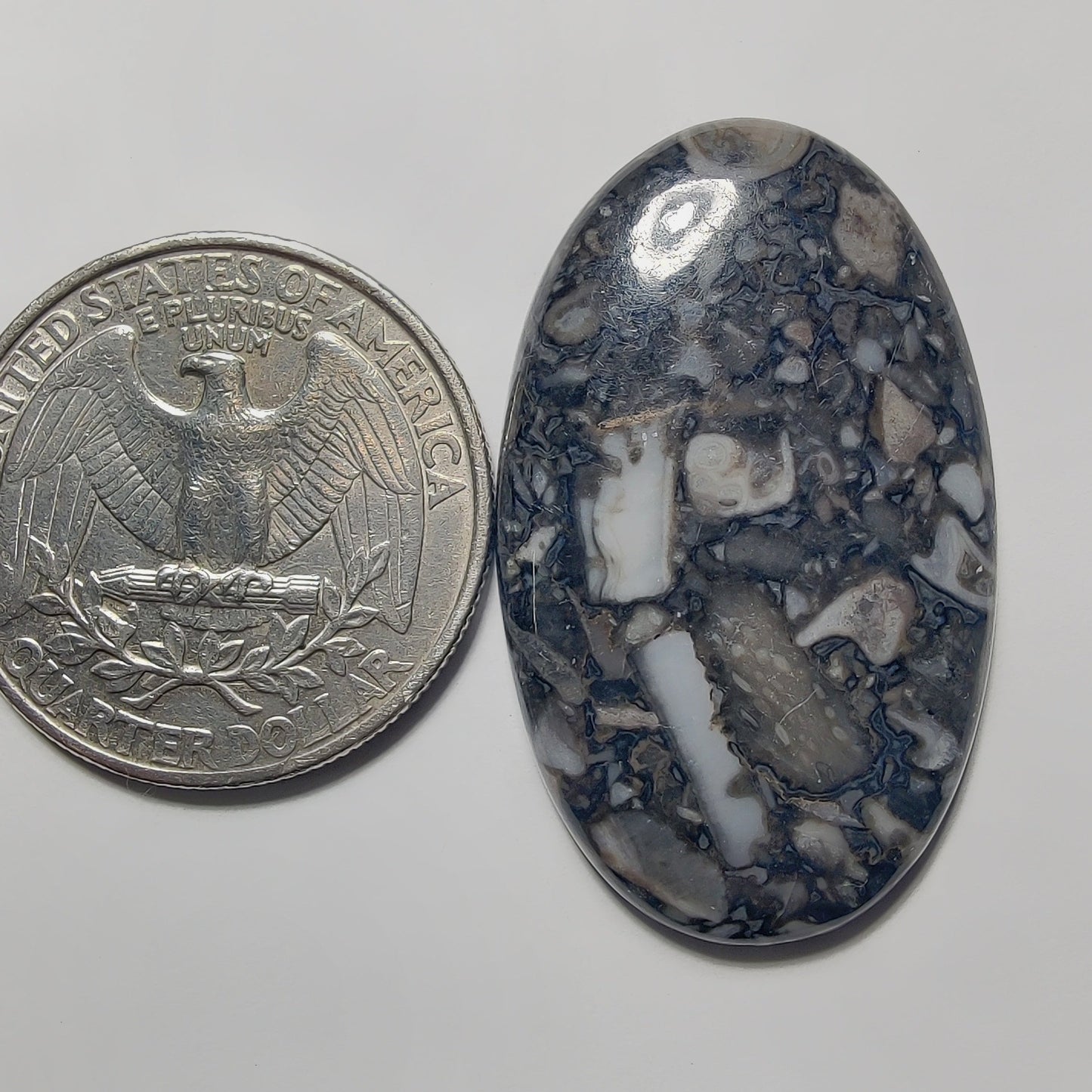 Orthoceras Jasper gemstone cabochon - natural crystal healing stone for jewelry making by Gemivra