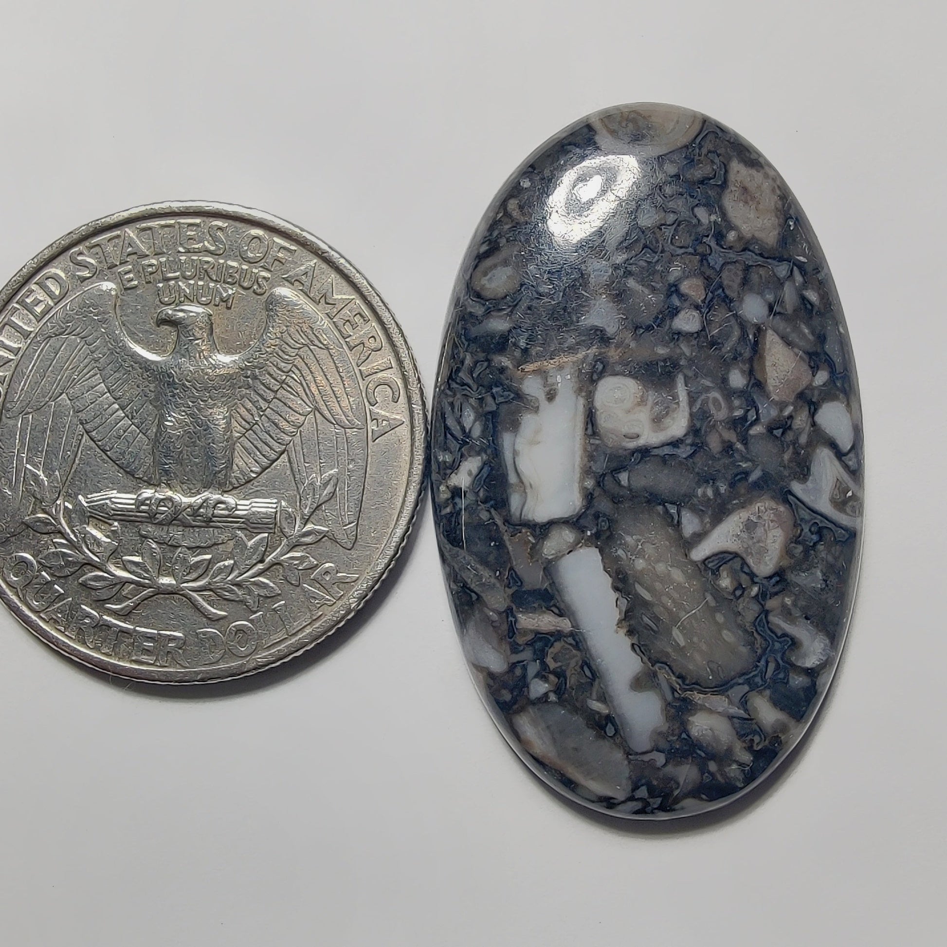 Orthoceras Jasper gemstone cabochon - natural crystal healing stone for jewelry making by Gemivra