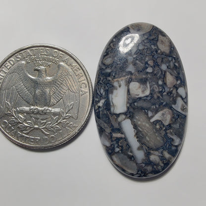 Orthoceras Jasper gemstone cabochon - natural crystal healing stone for jewelry making by Gemivra