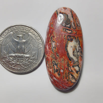 Leopard Skin Jasper gemstone cabochon - natural crystal healing stone for jewelry making by Gemivra