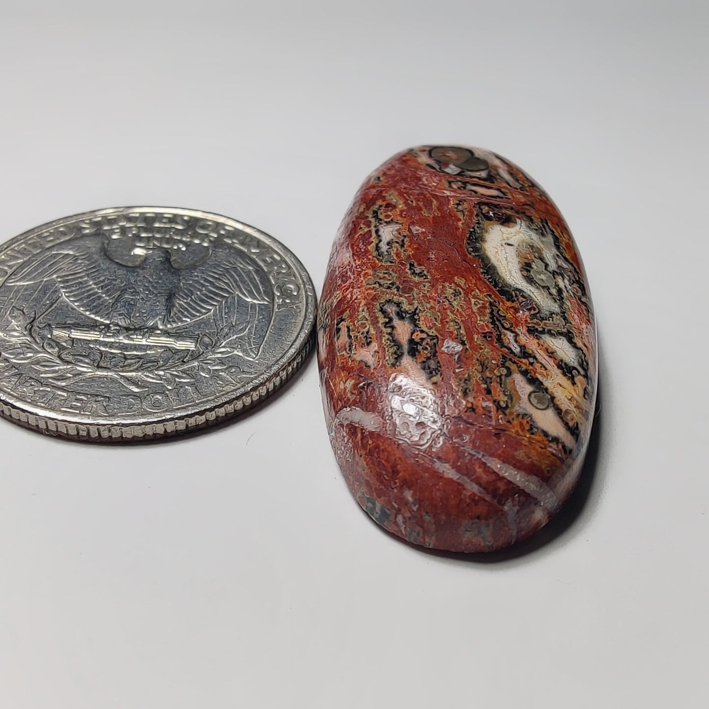 Leopard Skin Jasper gemstone cabochon - natural crystal healing stone for jewelry making by Gemivra