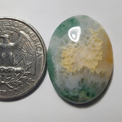 Moss Agate gemstone cabochon - natural crystal healing stone for jewelry making by Gemivra