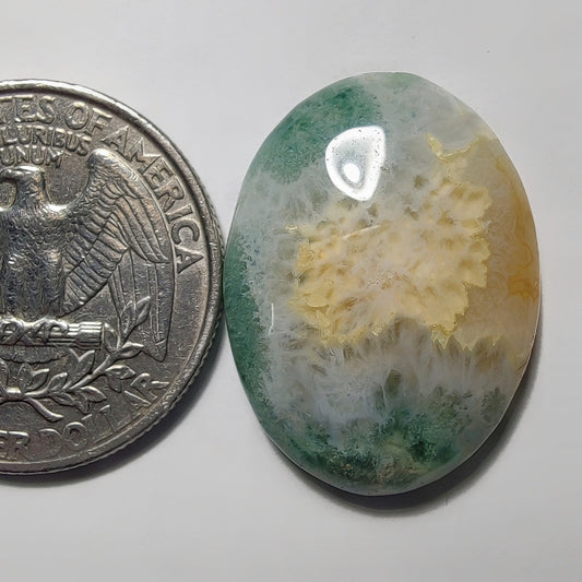 Moss Agate gemstone cabochon - natural crystal healing stone for jewelry making by Gemivra