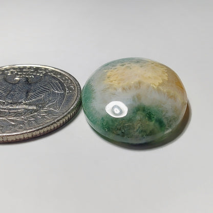 Moss Agate gemstone cabochon - natural crystal healing stone for jewelry making by Gemivra