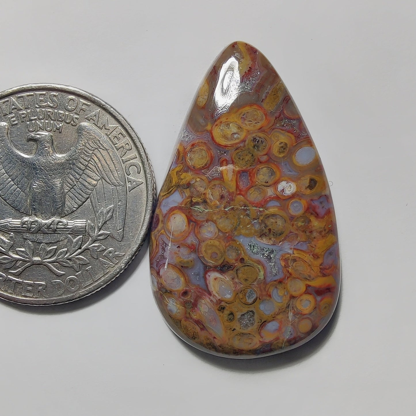 Palm Root Agate gemstone cabochon - natural crystal healing stone for jewelry making by Gemivra