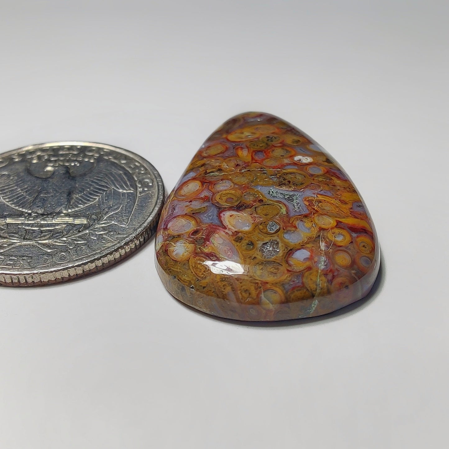 Palm Root Agate gemstone cabochon - natural crystal healing stone for jewelry making by Gemivra