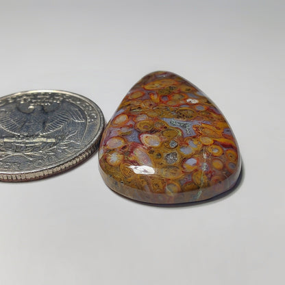 Palm Root Agate gemstone cabochon - natural crystal healing stone for jewelry making by Gemivra