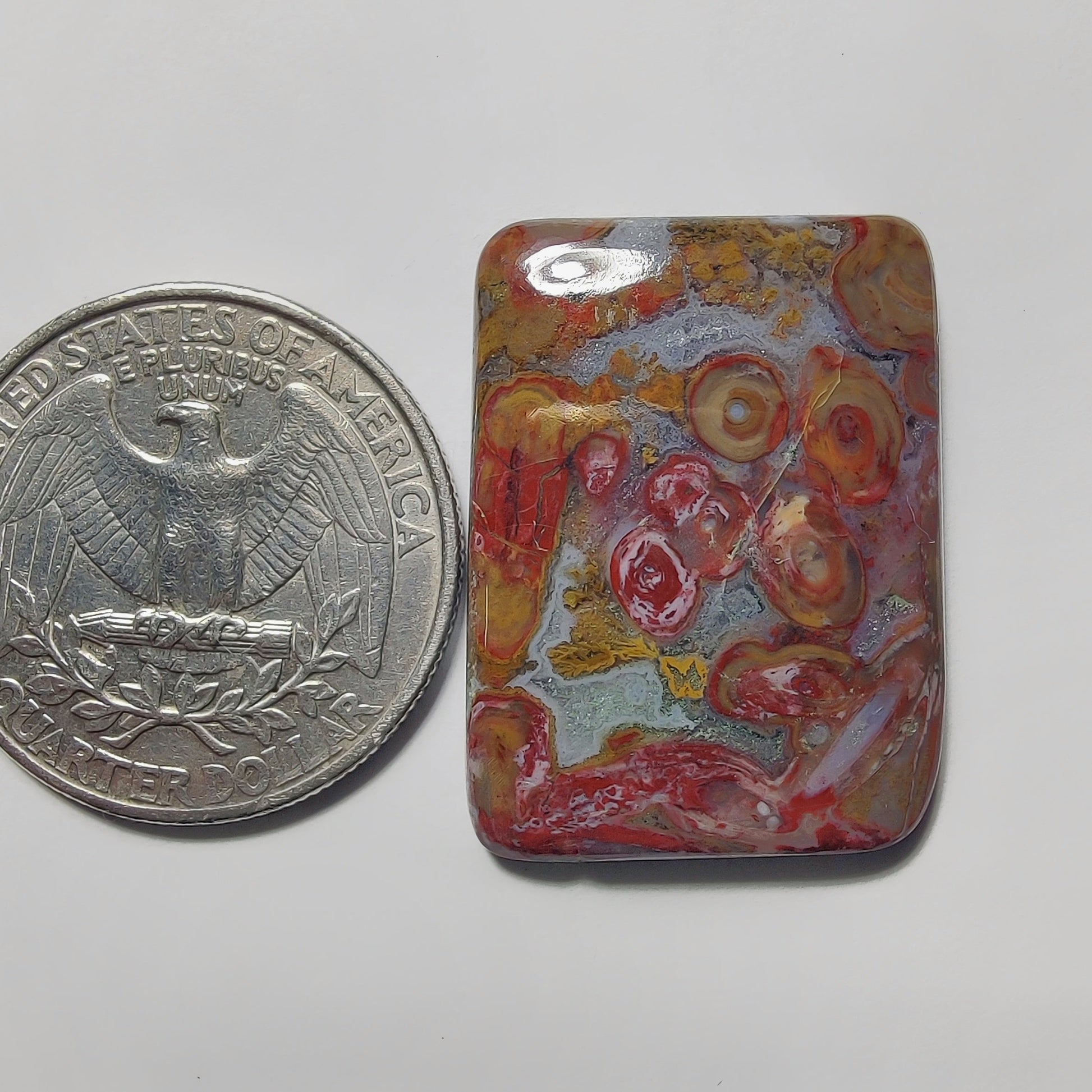 Palm Root Agate gemstone cabochon - natural crystal healing stone for jewelry making by Gemivra