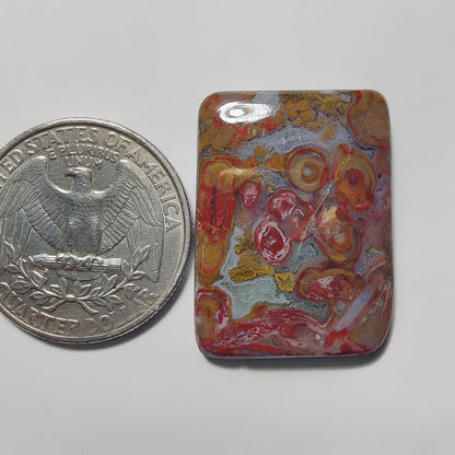 Palm Root Agate gemstone cabochon - natural crystal healing stone for jewelry making by Gemivra